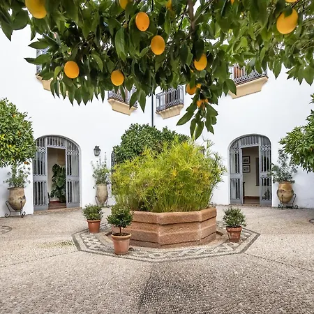 Palacio Marqués Vega Armijo Appartamento *